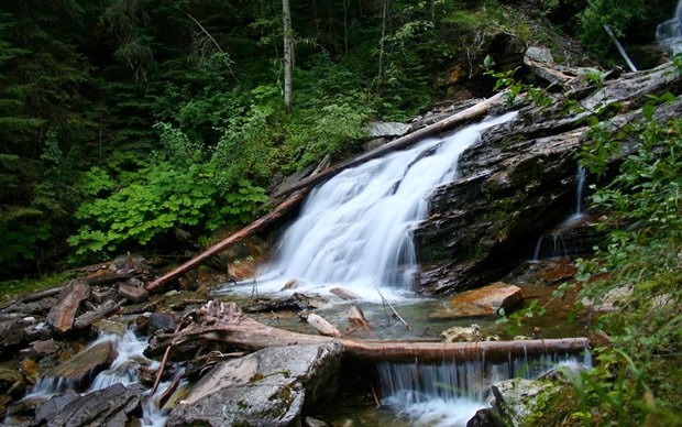 Forest-River_1280x800-Wallpaper1