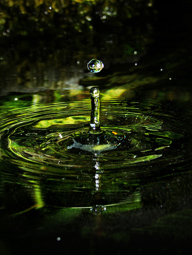 tumblr_mco8diQoxQ1rcnkero1_400