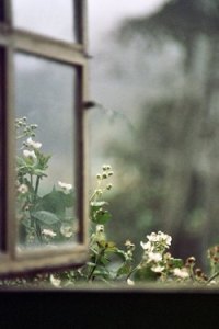 tumblr_m4mgbqGXvW1qzt15co1_1280