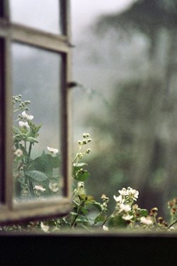 tumblr_m4mgbqGXvW1qzt15co1_1280