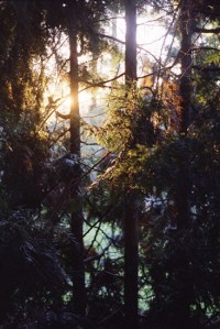 tumblr_mb7psnfQ0U1r0k4a7o1_1280