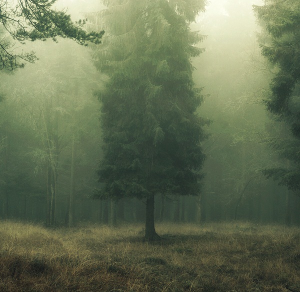 tumblr_metvkr2zFh1qas1mto11_r3_1280