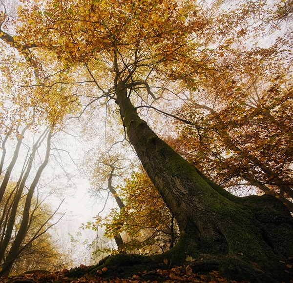 tumblr_metvkr2zFh1qas1mto1_r1_1280