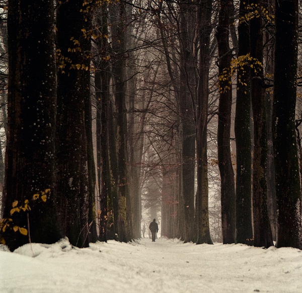 tumblr_metvkr2zFh1qas1mto6_r3_1280