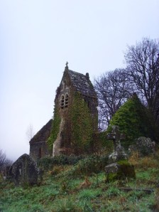 tumblr_mixwagdrix1s46kdmo1_500