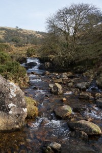 tumblr_mj7artTtvn1s0vikuo1_500