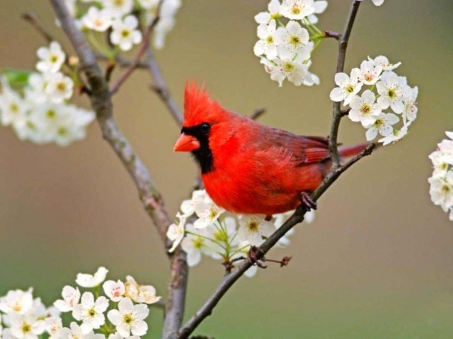 tumblr_ljlmcf0di31qbwxpro1_1280