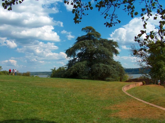 Mt Vernon 913 032-LR