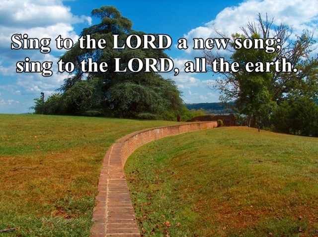 Mt Vernon 913 033-PV-XXXX