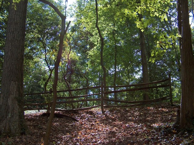 Mt Vernon 913 062-LR