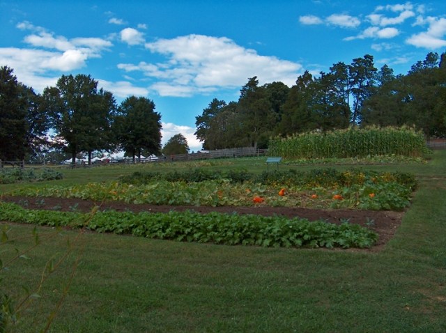 Mt Vernon 913 074-LR