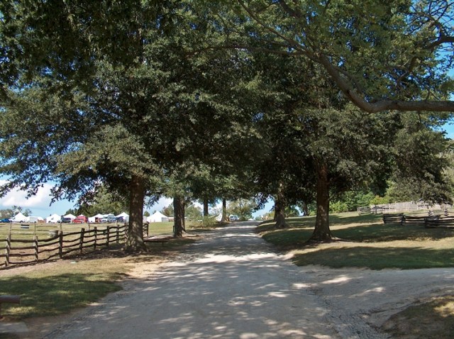 Mt Vernon 913 091-PV