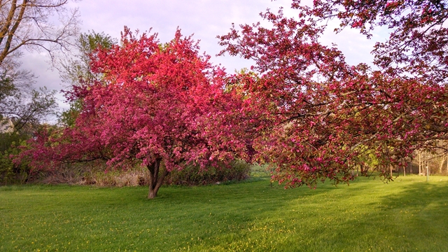 IMG_20140516_195548959_HDR