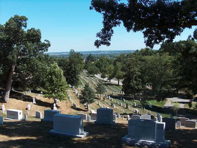 Arlington 9413 040