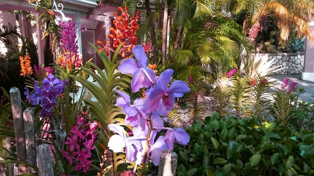 20141124_153458 (1)-LR