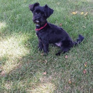 12249575_10208066124999250_7096005697460658006_n