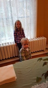 12316404_850390168392946_7733923532706020443_n