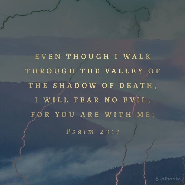 tumblr_o4ja8ny3ht1s3buwyo1_1280